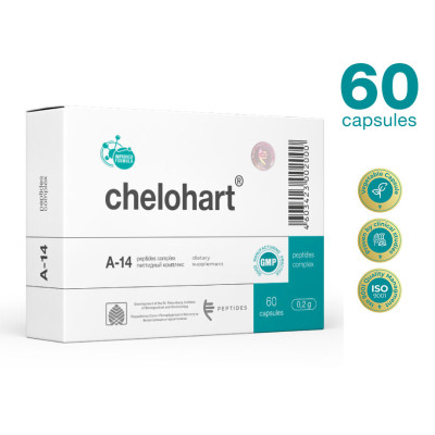 CHELOHART, heart 60pcs.